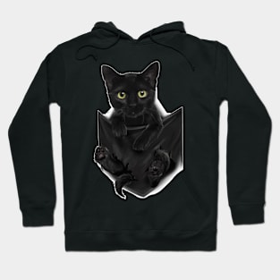 Black Cat Stern In Pocket  S Cats   Gifts Hoodie